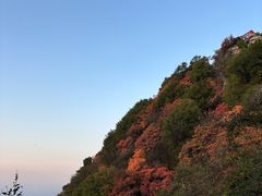 -秦岭终南山世界地质公园翠华山景区