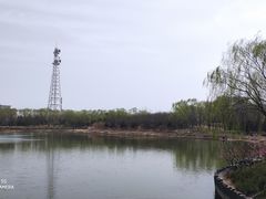 -大兴滨河森林公园