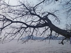 -平湖九龙山旅游度假区