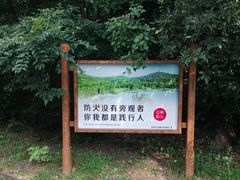 -宝界山林公园