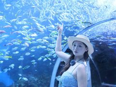 -海合安成都极地海洋公园