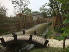-田园东方蜜桃村的田野营地