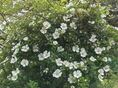 -宝岩生态观光园