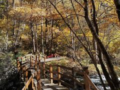 -叠溪松坪沟景区