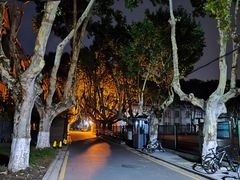 -东南大学(四牌楼校区)