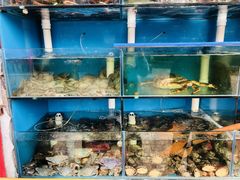 水产区-名超海鲜烧烤大排档