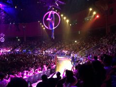 -珠海横琴长隆《卡卡虎奇遇记》