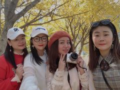 -千年银杏谷文化旅游区