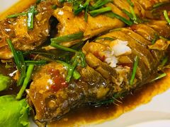 红烧黄花鱼-鑫渔港海鲜本地菜·山海关浑锅(东戴河店)