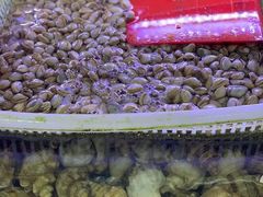 -金海湾海鲜排档(朱家尖店)