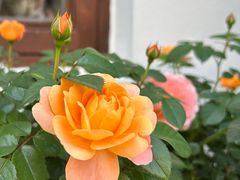 -东钱湖旅游度假区