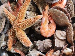 -宾朋海鲜特色美食餐厅·纯手工鲅鱼水饺(兴海路店)