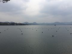 -西湖游船