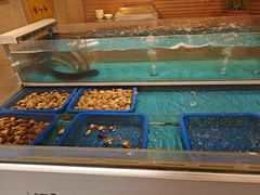 -盛宴自助餐厅(运达喜来登店)