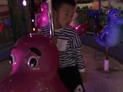 -青岛嘉年华主题乐园