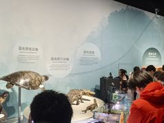 -中国湿地博物馆