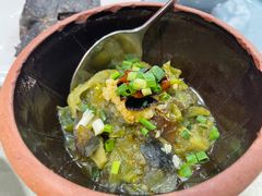 -洞庭家宴·头牌甲鱼(广渠门店)