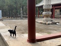 -四门塔风景区