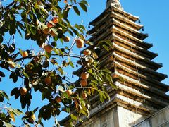 -北京石刻艺术博物馆(五塔寺)