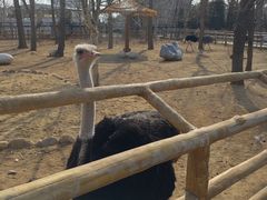 -大连森林动物园