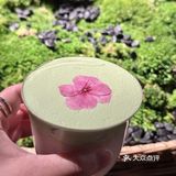 女神节！！卿庭你还有什么是我不知道的‼️