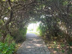 -水濂山森林公园