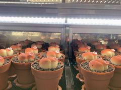 -85度C(厦门中华城新店)