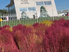 -天津东丽湖风景区