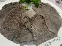 -蜀九香火锅(九眼桥店)