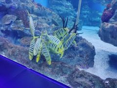 -海合安成都极地海洋公园
