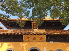 -亭林园-华藏寺