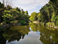 -叶家花园