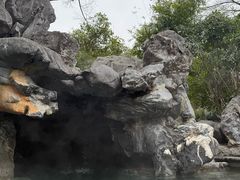 -苏州湾·王焰温泉