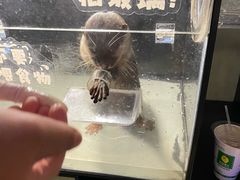 -太平洋海底世界