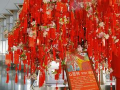 -上海金茂大厦88层观光厅