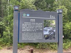 -峡谷浮石林景区