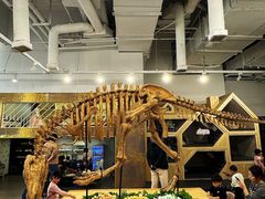 -FAIRYLAND龙族星球主题餐厅(凯丹广场店)