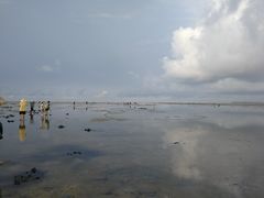 -红树林天天赶海