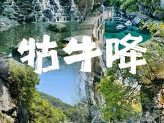 -石台牯牛降景区