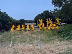 -荔城生鲜盛宴(番禺旗舰店)