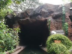 -河川生态园