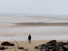 -日照海滨国家森林公园