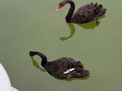 -蓬莱欧乐堡梦幻世界