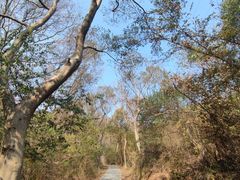 -青龙山国家森林公园