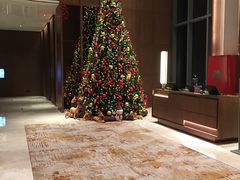 -嘉定凯悦·咖啡厅