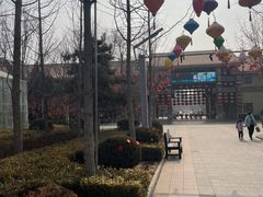 -南宫五洲植物乐园