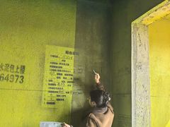 -点石家装(新化店)