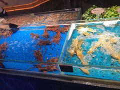 水产区-徐记海鲜(曲江南湖店)