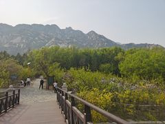 -北京凤凰岭