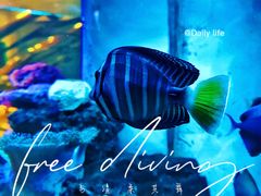 -碧中海汤泉汗蒸酒店